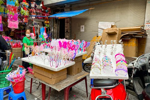 Hang Ma street gearing up for Mid-Autumn festival - ảnh 8